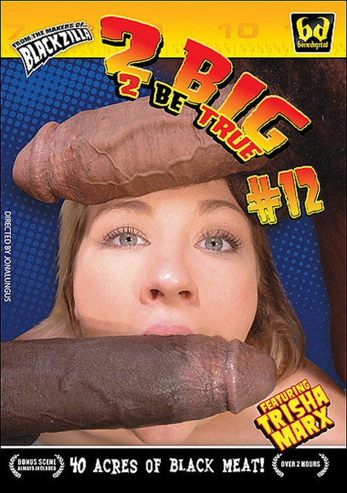 Movie poster for 2 Big 2 Be True 12 (2009)
