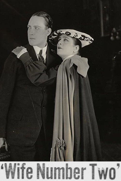 Movie poster for Wife Number Two (1917)