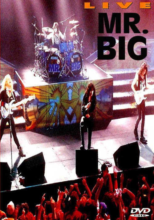 Movie poster for Mr. Big: Live (1992)