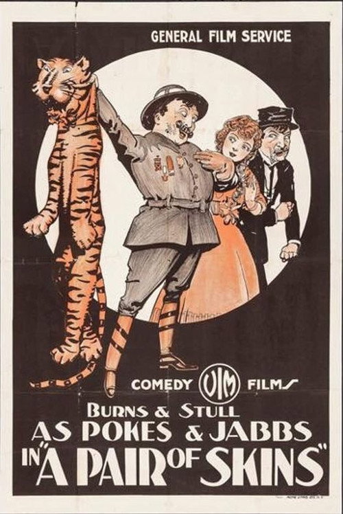 Movie poster for A Pair of Skins (1916)