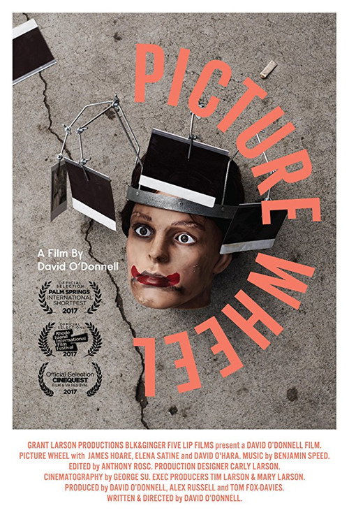 Movie poster for Picture Wheel (2017)