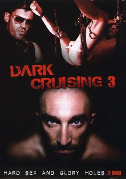 Movie poster for Dark Cruising 3 (2010)