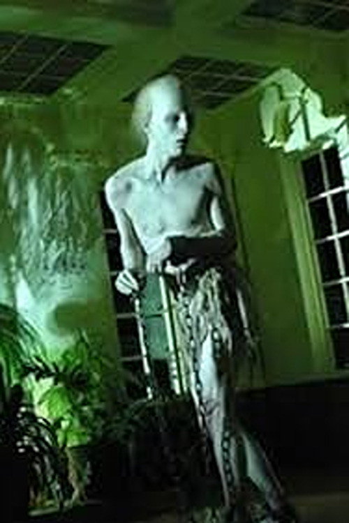Movie poster for Coffins of Light (2009)