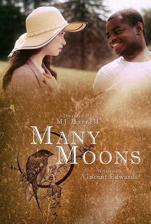 Movie poster for Many Moons (2019)
