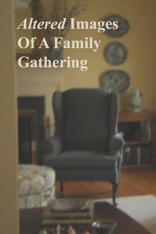 Movie poster for Altered Images Of A Family Gathering (2025)