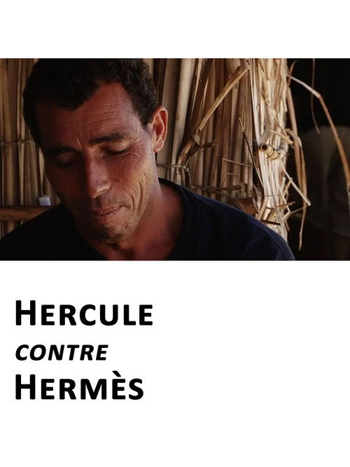 Movie poster for Hercules Versus Hermès (2014)