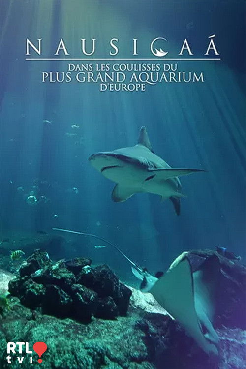 Nausicaá : Dans les coulisses du plus grand aquarium d'Europe poster