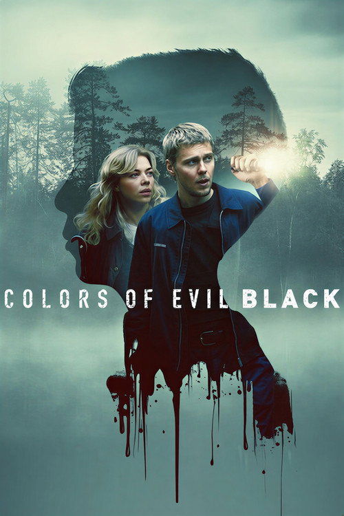 Movie poster for Colors of Evil: Black (2026)