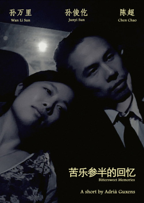 Movie poster for Bittersweet Memories (2016)