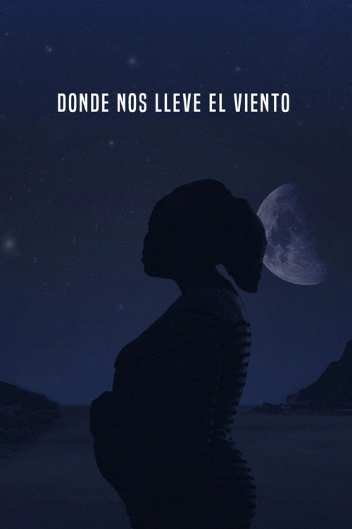 Movie poster for Donde nos lleve el viento (2019)