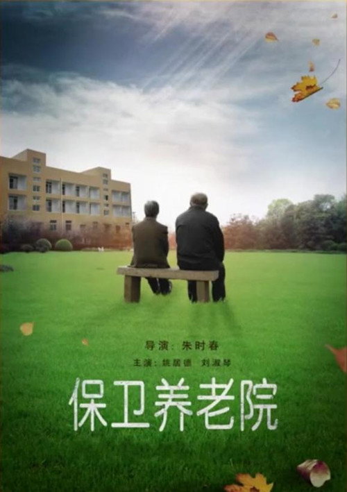 Movie poster for 保卫养老院 (2016)