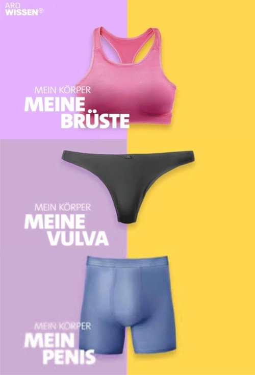 Series poster for Mein Körper (2023)