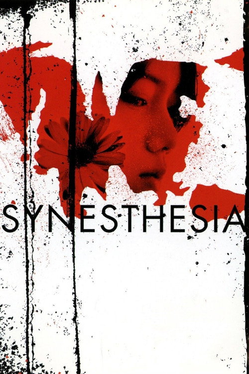 Movie poster for Synesthesia (2005)