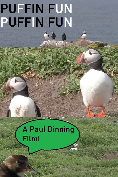 Movie poster for Puffin Fun (2024)
