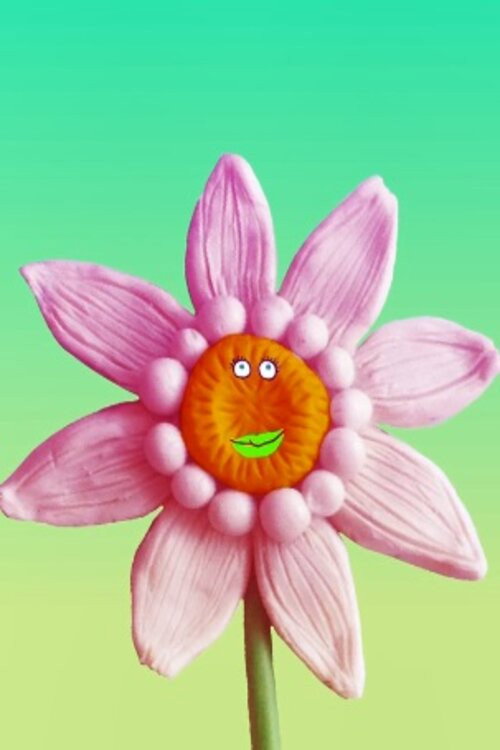 Movie poster for My flower (2016)