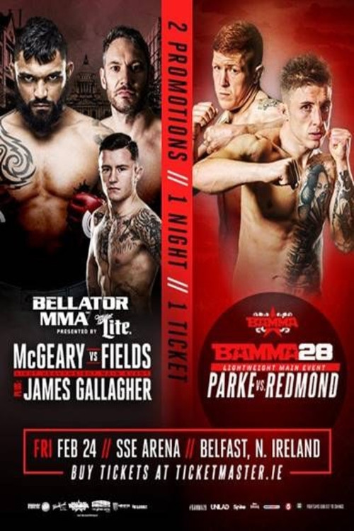 Movie poster for Bellator 173: McGeary vs. McDermott (2017)