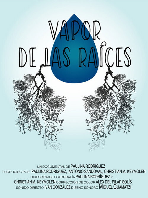Movie poster for Vapor de las raíces (2020)