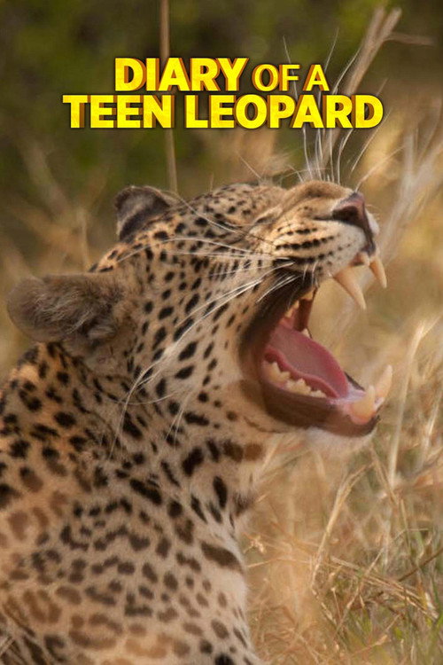 Movie poster for Diary of a Teen Leopard (2020)