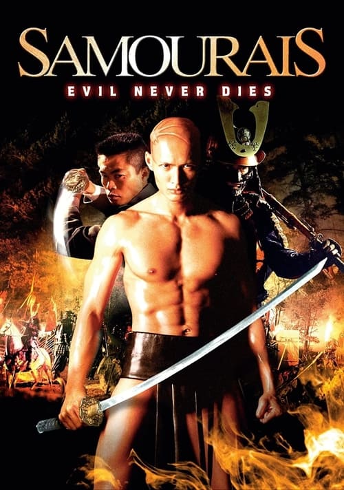 Movie poster for Samouraïs (2002)