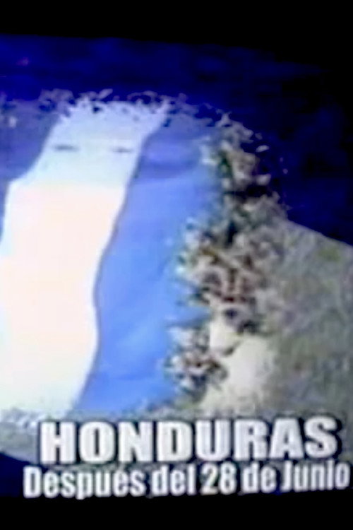 Movie poster for Honduras, después del 28 de junio 2009 (2010)