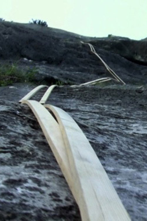 Movie poster for Stick Climbing (2011)