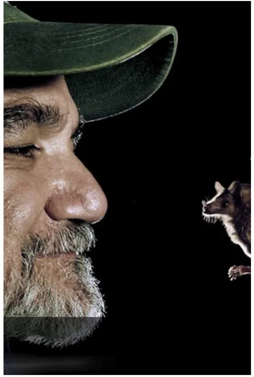 Movie poster for The Bat Man of Mexico (2014)