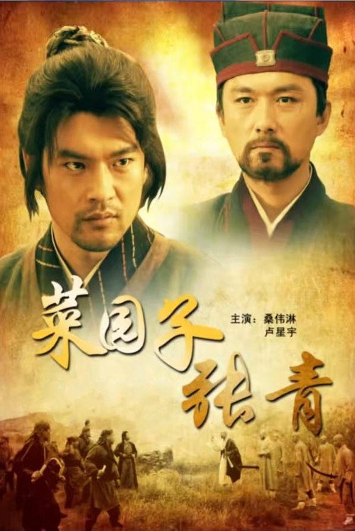 Movie poster for 菜园子张青 (2012)