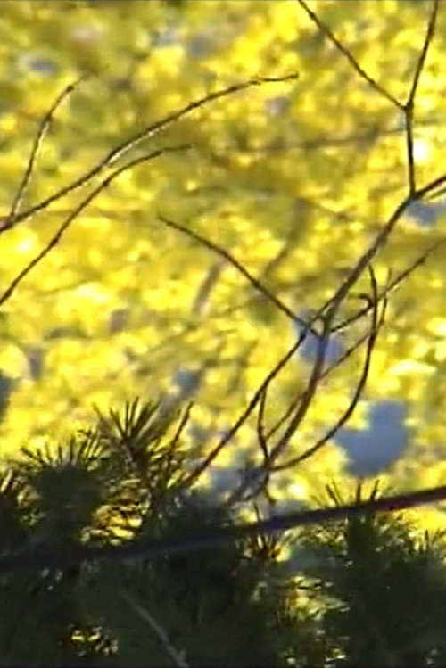 Movie poster for Late Spring (2006)