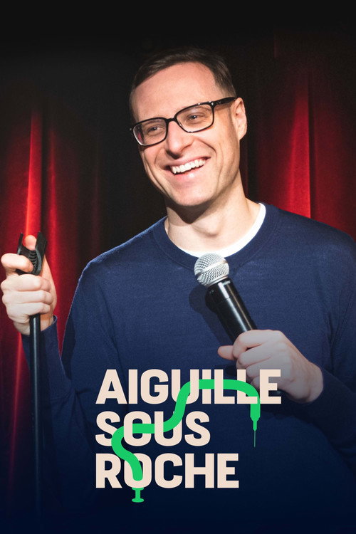 Movie poster for Aiguille sous roche (2021)