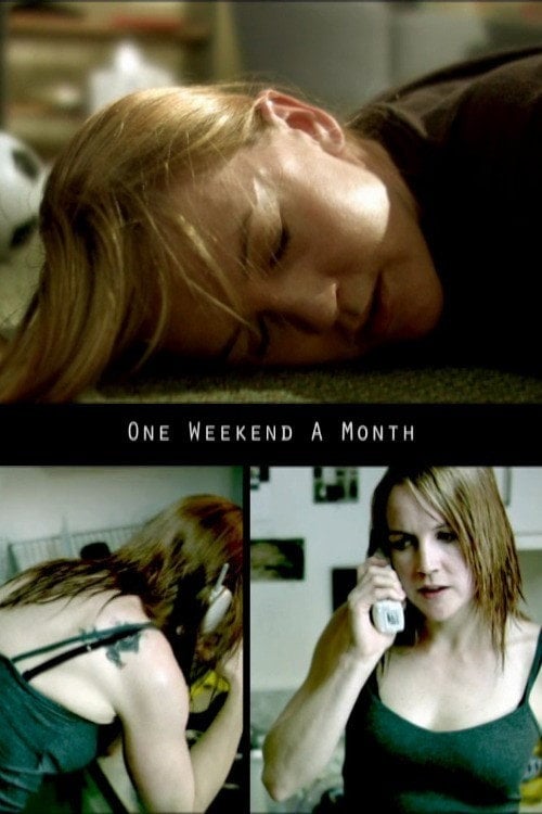 Movie poster for One Weekend a Month (2004)