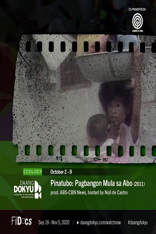Movie poster for Pinatubo: Rising from the Ashes (2011)