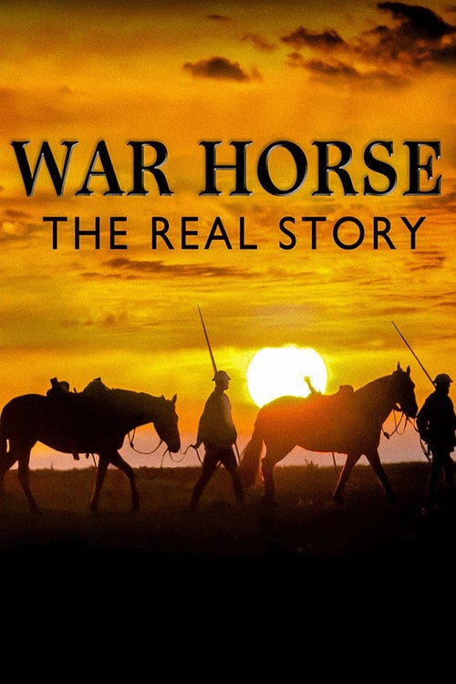Movie poster for War Horse: The Real Story (2012)
