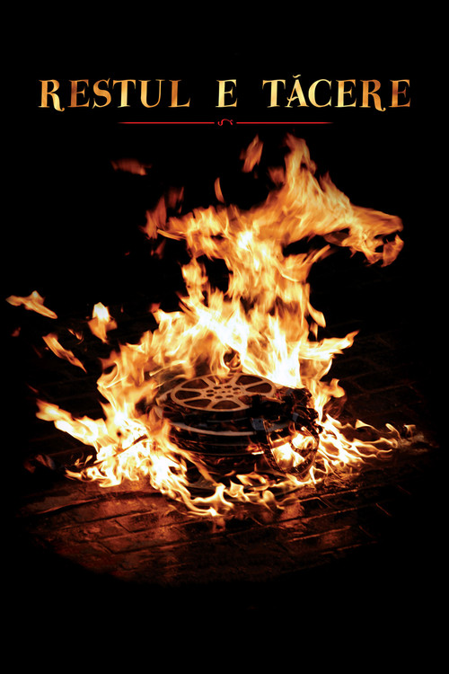 Movie poster for The Rest Is Silence (2008)