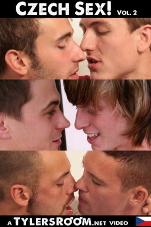 Movie poster for Czech Sex 2 (2010)