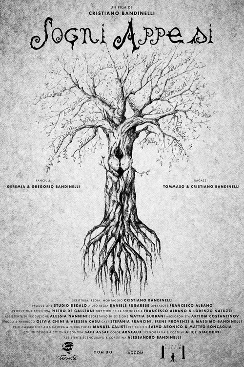 Movie poster for Sogni appesi