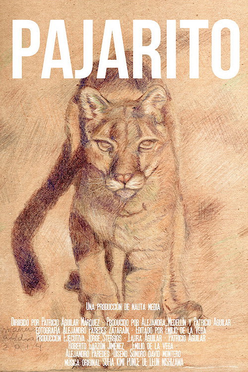 Movie poster for Pajarito (2022)