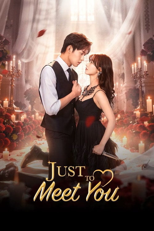 Series poster for Just to Meet You (2026)