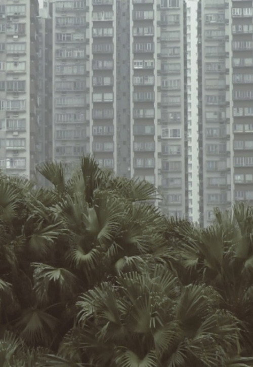 Movie poster for South Horizons (2015)