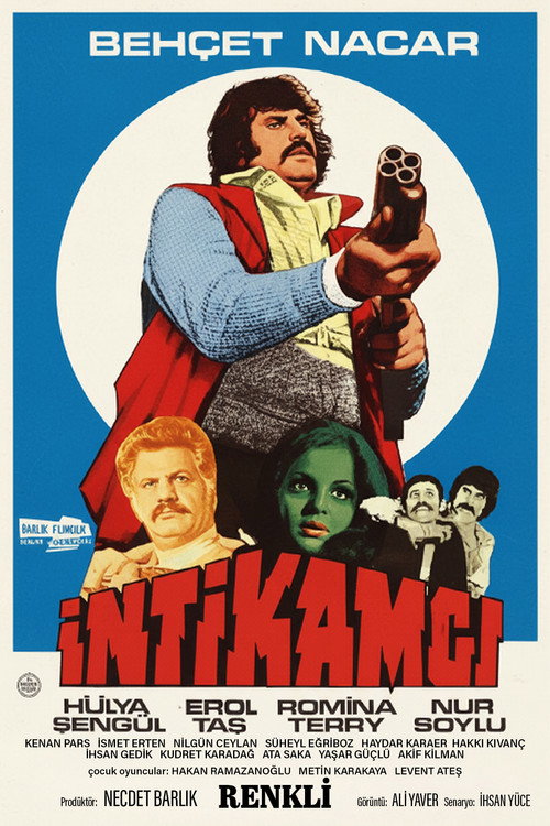 Movie poster for İntikamcı (1976)
