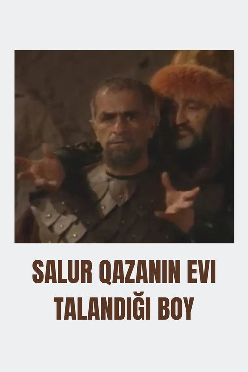 Movie poster for Salur Qazanın evi talandığı boy (2001)
