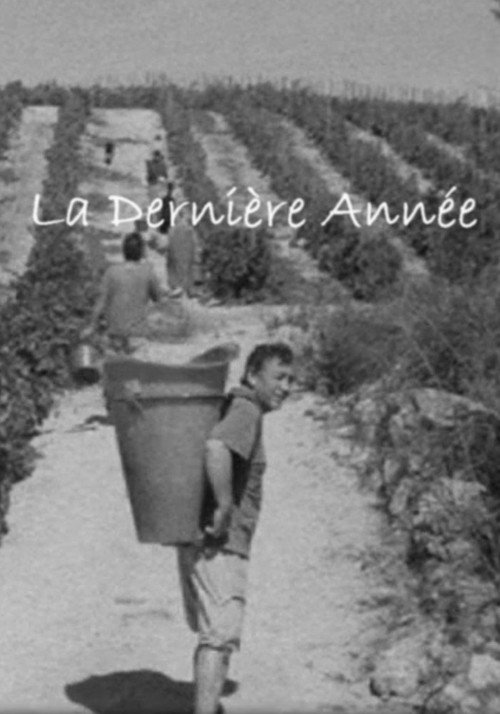 Movie poster for La Dernière Année (2011)