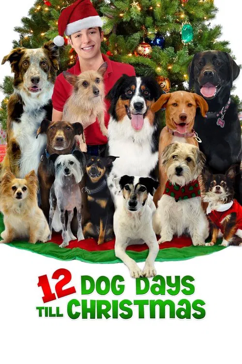 Movie poster for 12 Dog Days Till Christmas (2014)