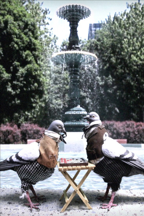 Movie poster for Saint-Louis Square (2017)