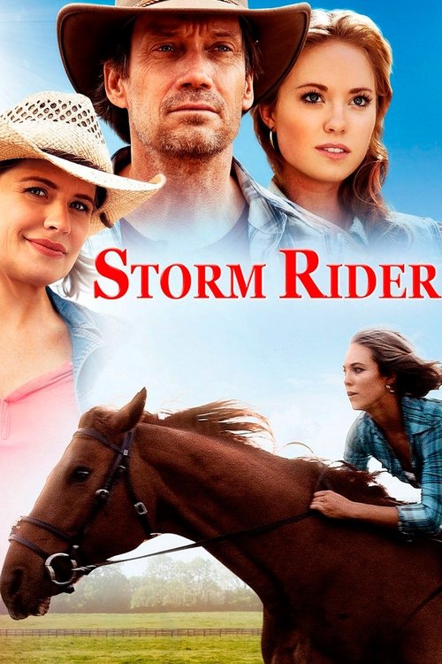 Movie poster for Storm Rider (2013)