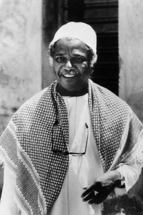 Photo of Ali Mazrui, Acting