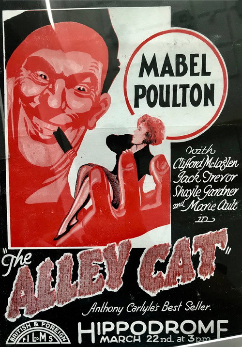 Movie poster for The Alley Cat (1929)