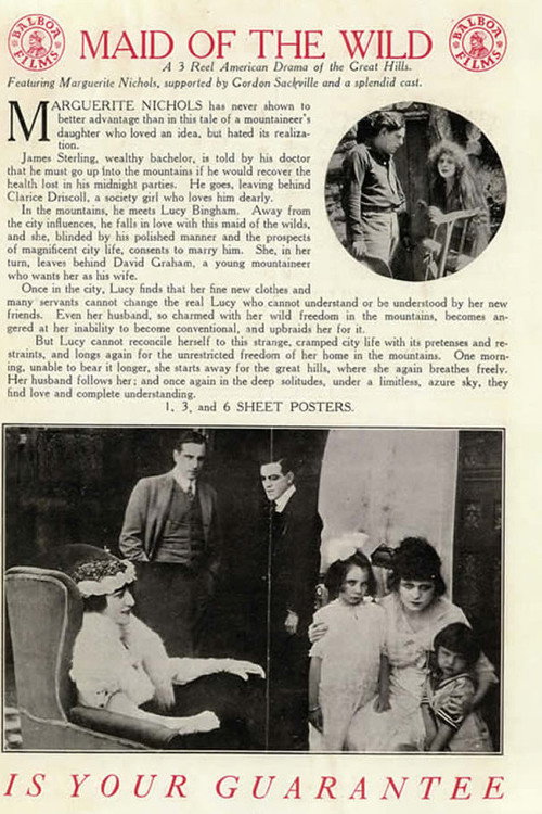 Movie poster for The Maid of the Wild (1915)