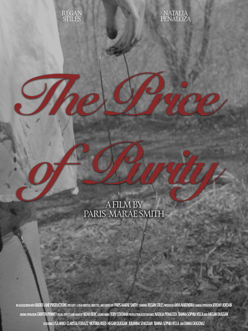 Movie poster for The Price of Purity (2025)