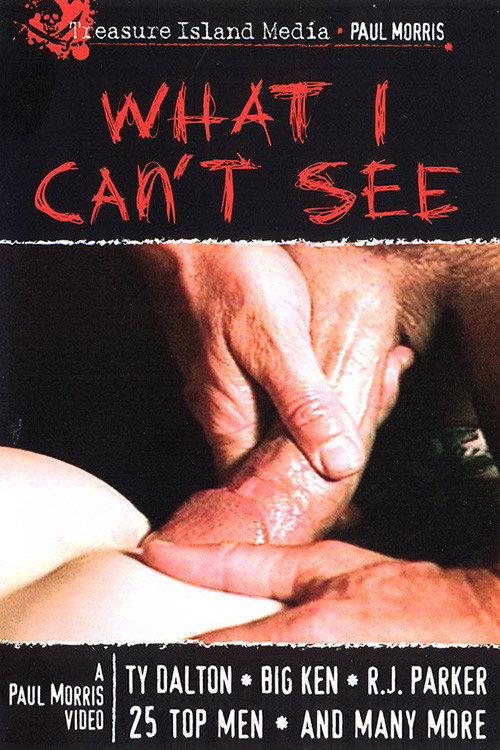 Movie poster for What I Can't See (1999)