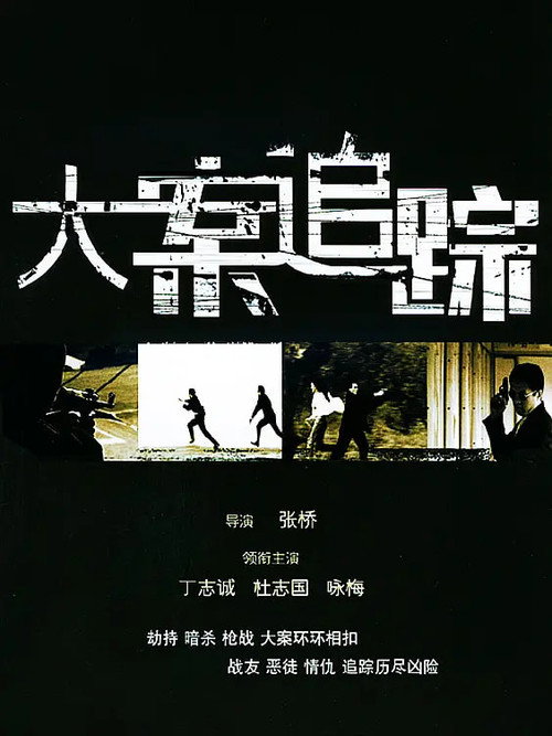 大案追踪 poster